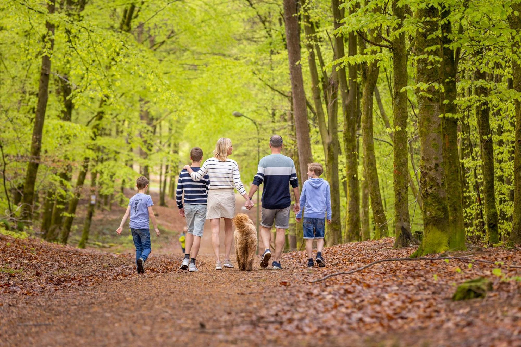 Ardennen Camping Bertrix Zewnętrze zdjęcie